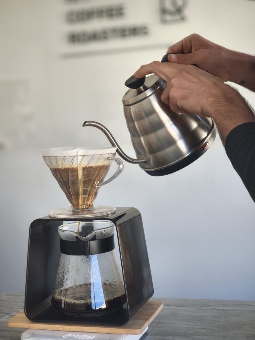 filtrado v60 hario curso formacion brewing presencial barista en casa